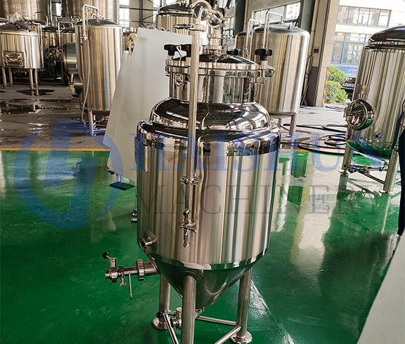 Serbatoi di fermentazione 1BBL